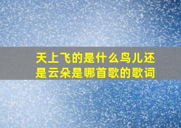 天上飞的是什么鸟儿还是云朵是哪首歌的歌词