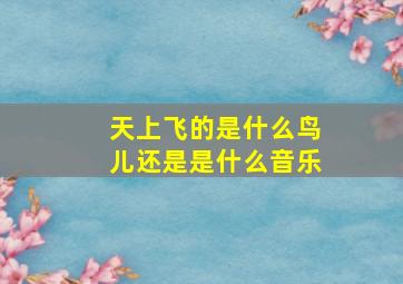 天上飞的是什么鸟儿还是是什么音乐