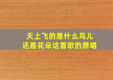 天上飞的是什么鸟儿还是花朵这首歌的原唱