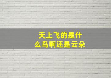 天上飞的是什么鸟啊还是云朵