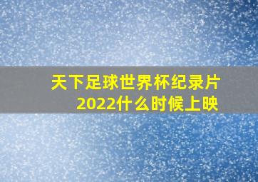 天下足球世界杯纪录片2022什么时候上映