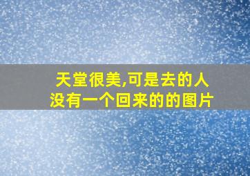 天堂很美,可是去的人没有一个回来的的图片