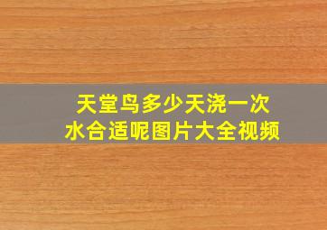 天堂鸟多少天浇一次水合适呢图片大全视频