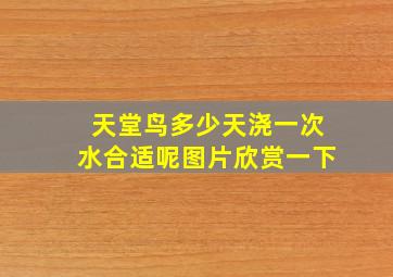 天堂鸟多少天浇一次水合适呢图片欣赏一下