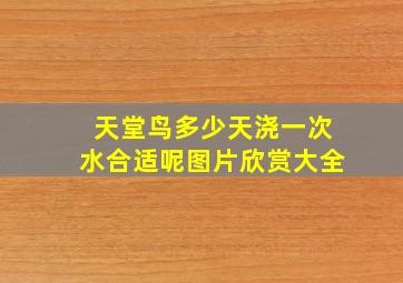 天堂鸟多少天浇一次水合适呢图片欣赏大全