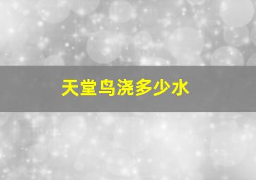 天堂鸟浇多少水