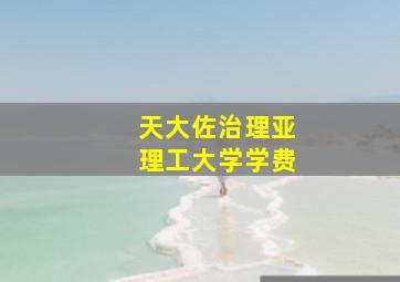 天大佐治理亚理工大学学费