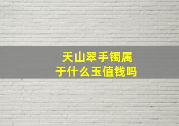 天山翠手镯属于什么玉值钱吗