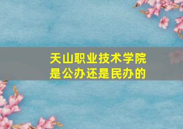 天山职业技术学院是公办还是民办的