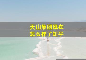 天山集团现在怎么样了知乎