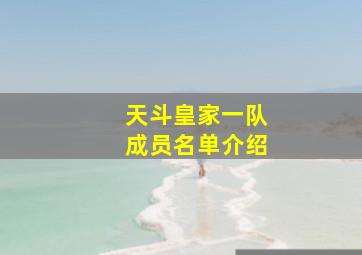 天斗皇家一队成员名单介绍