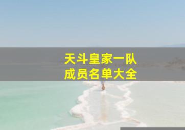 天斗皇家一队成员名单大全