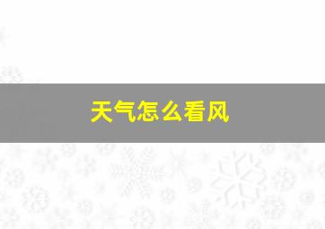 天气怎么看风