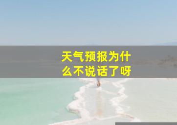 天气预报为什么不说话了呀