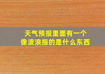 天气预报里面有一个像波浪指的是什么东西