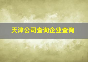 天津公司查询企业查询