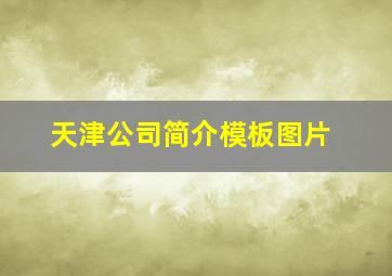 天津公司简介模板图片