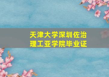 天津大学深圳佐治理工亚学院毕业证