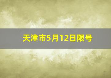 天津市5月12日限号