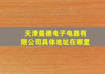 天津曼德电子电器有限公司具体地址在哪里