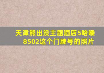 天津熊出没主题酒店5哈喽8502这个门牌号的照片