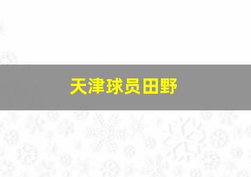 天津球员田野