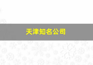 天津知名公司