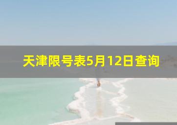 天津限号表5月12日查询