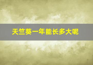 天竺葵一年能长多大呢