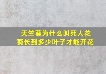 天竺葵为什么叫死人花葵长到多少叶子才能开花