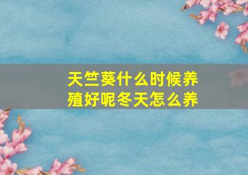 天竺葵什么时候养殖好呢冬天怎么养