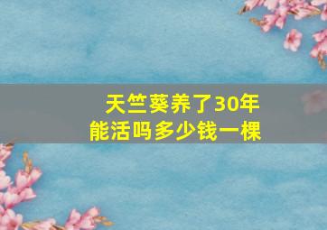 天竺葵养了30年能活吗多少钱一棵