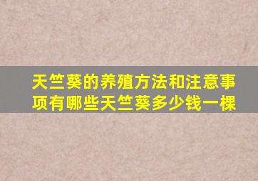 天竺葵的养殖方法和注意事项有哪些天竺葵多少钱一棵