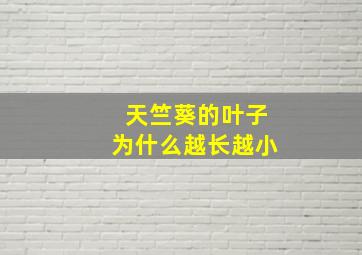 天竺葵的叶子为什么越长越小