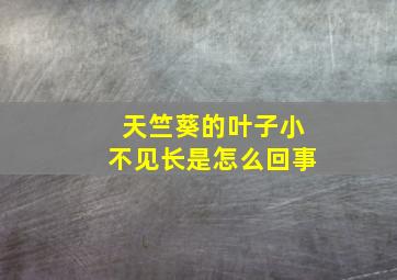 天竺葵的叶子小不见长是怎么回事