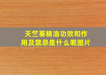 天竺葵精油功效和作用及禁忌是什么呢图片