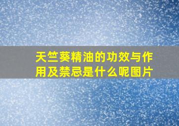 天竺葵精油的功效与作用及禁忌是什么呢图片