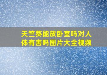 天竺葵能放卧室吗对人体有害吗图片大全视频