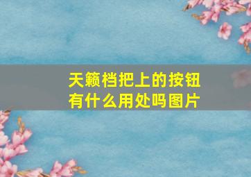 天籁档把上的按钮有什么用处吗图片