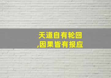 天道自有轮回,因果皆有报应