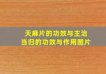 天麻片的功效与主治当归的功效与作用图片