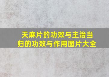 天麻片的功效与主治当归的功效与作用图片大全