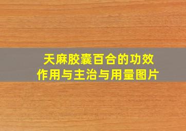 天麻胶囊百合的功效作用与主治与用量图片