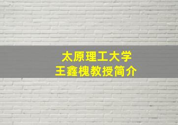 太原理工大学王鑫槐教授简介