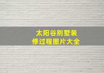 太阳谷别墅装修过程图片大全