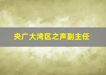 央广大湾区之声副主任