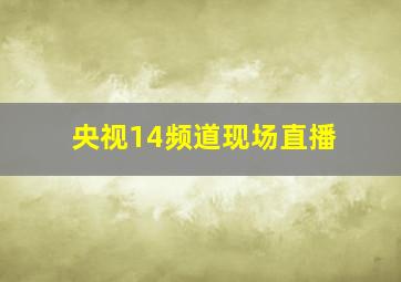 央视14频道现场直播