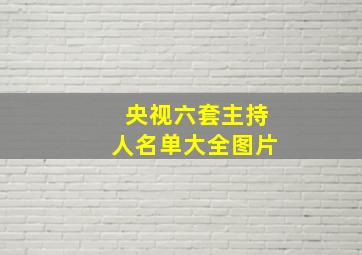 央视六套主持人名单大全图片