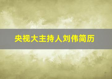 央视大主持人刘伟简历