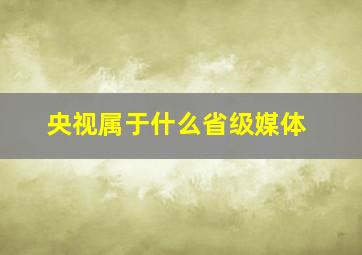 央视属于什么省级媒体